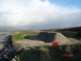 New Sandmartin Habitat